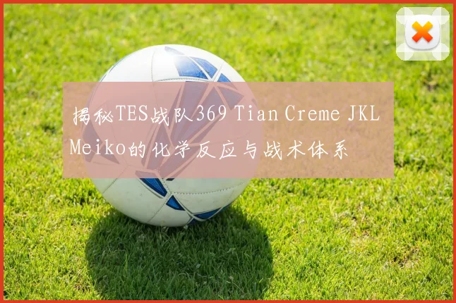 揭秘TES战队369 Tian Creme JKL Meiko的化学反应与战术体系